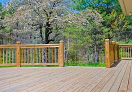 דק מעץ איפאה נחשב לדק עמיד ויפה הדורש מעט תחזוקה אך הוא פחות נוח לעבודה ומחירו יקר